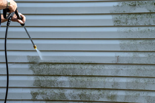 Best Demolition Debris Removal  in Salisbury, MO